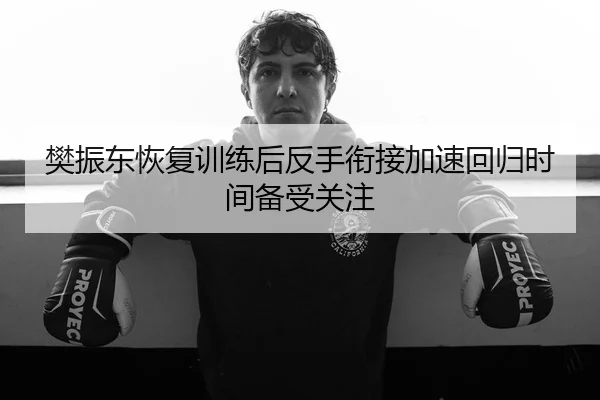 樊振东恢复训练后反手衔接加速回归时间备受关注